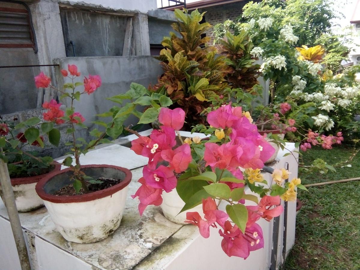 Bed and Breakfast Bentota Orchid House Exterior foto